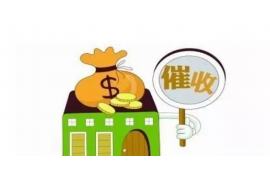 催收让说拒绝还款：如何维护自己的权益